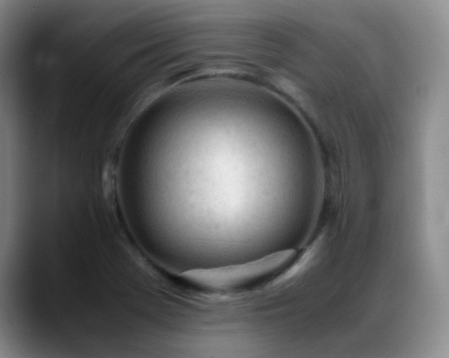 X0000089451369200706151424