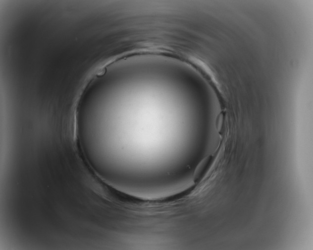 X0000089451371200706151424