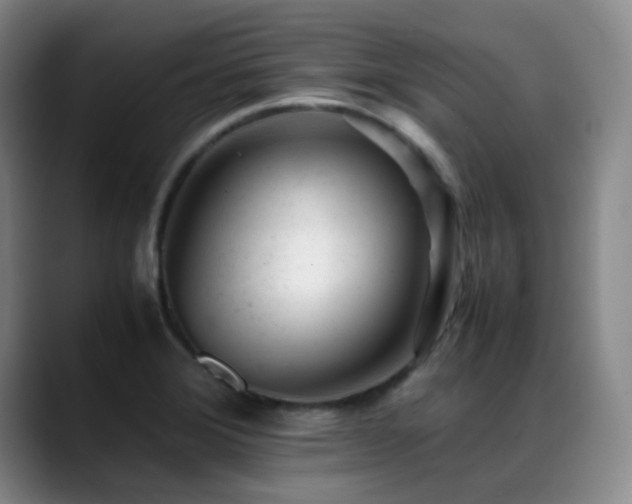 X0000089451372200706151424