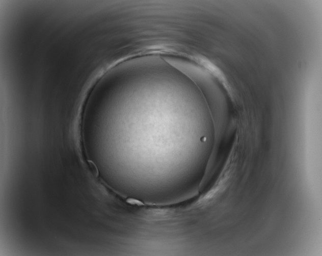 X0000089451373200706151424