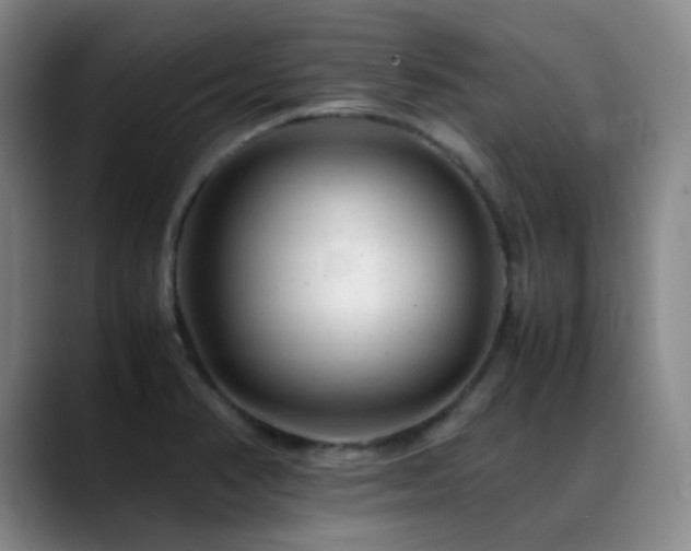 X0000089451374200706151424