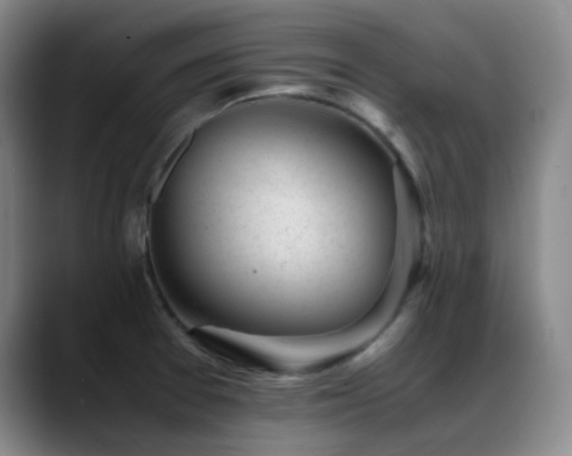 X0000089451377200706151424