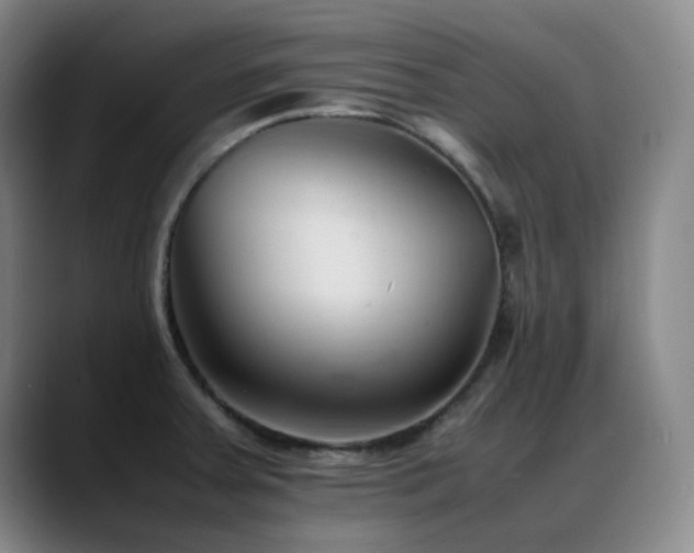 X0000089451379200706151424