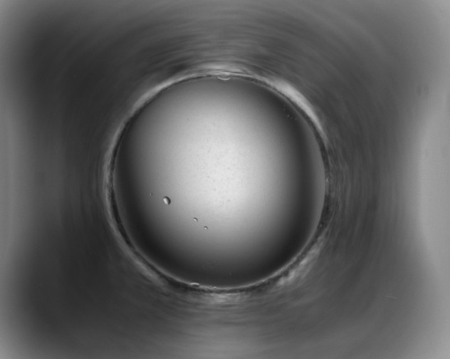 X0000089451381200706151424