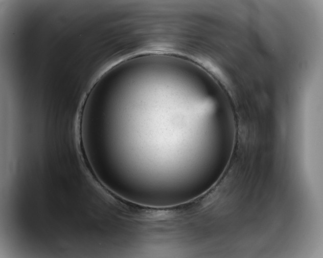 X0000089451382200706151424