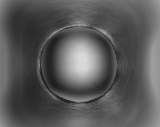 X0000089451383200706151424