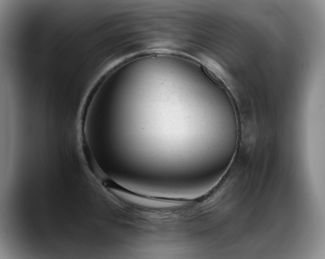 X0000089451384200706151424