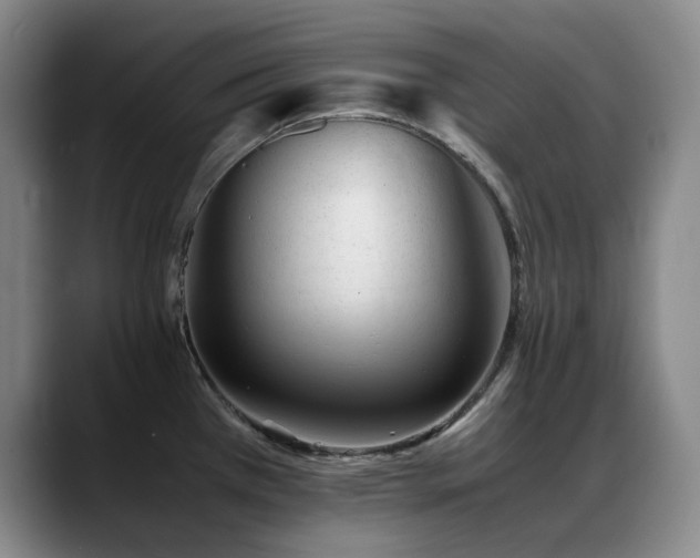 X0000089451385200706151424