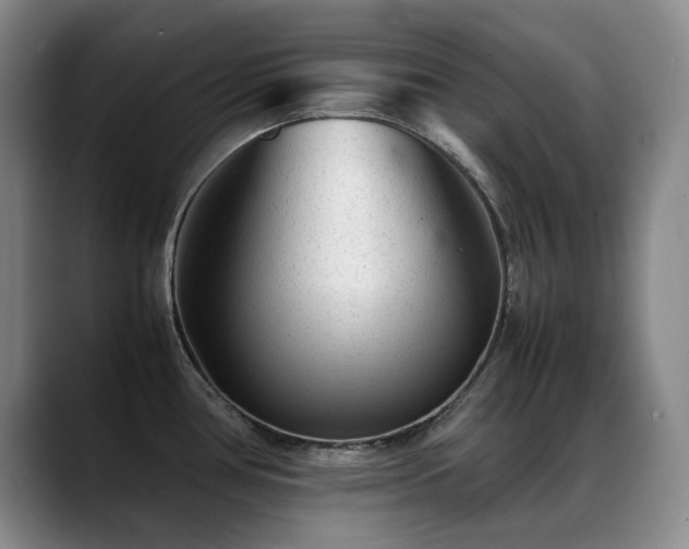 X0000089451386200706151424