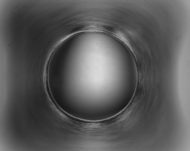 X0000089451387200706151424
