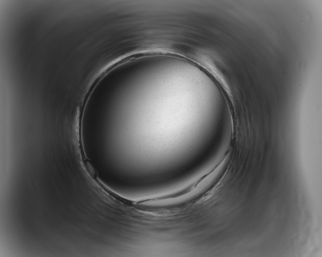X0000089451388200706151424