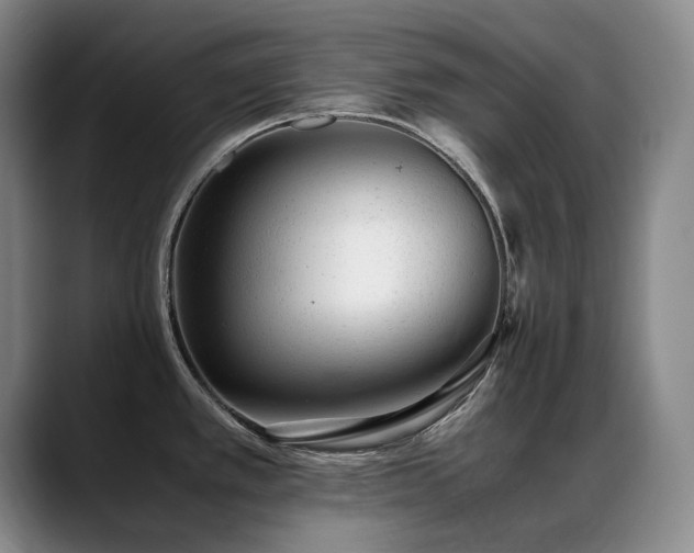 X0000089451389200706151424