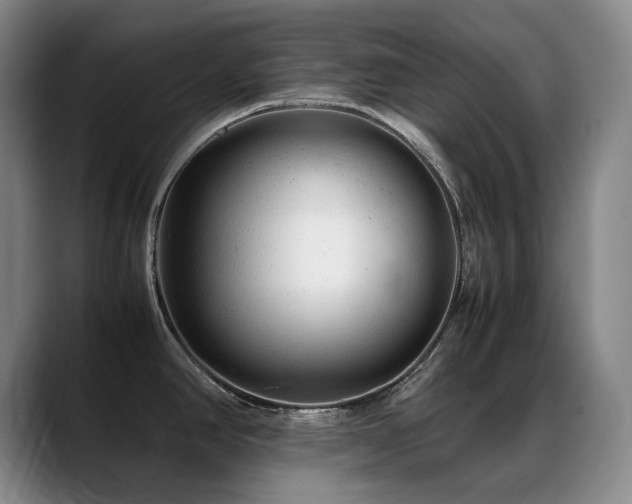 X0000089451390200706151424