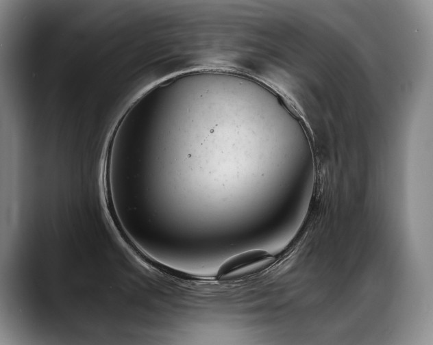 X0000089451391200706151424