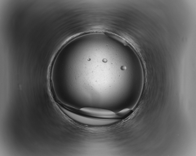 X0000089451392200706151424