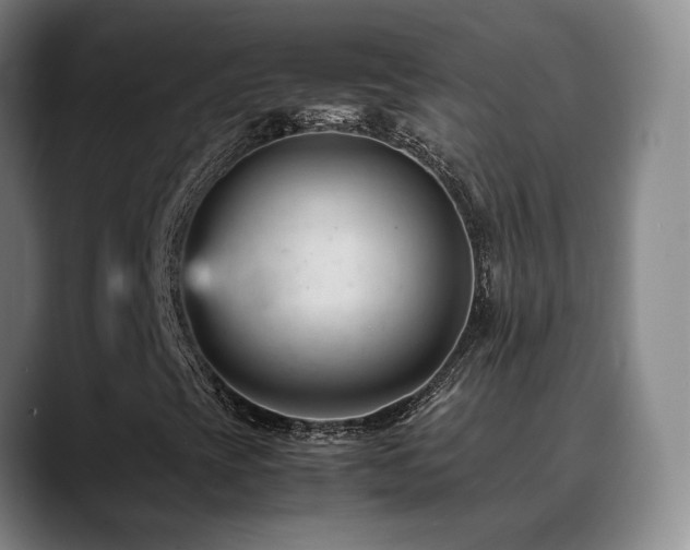 X0000089451393200706151423