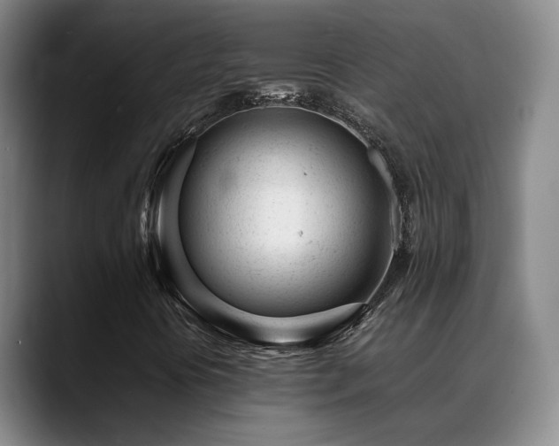 X0000089451394200706151423
