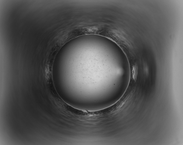 X0000089451395200706151423