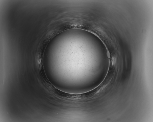 X0000089451396200706151423