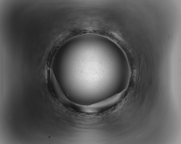 X0000089451398200706151423