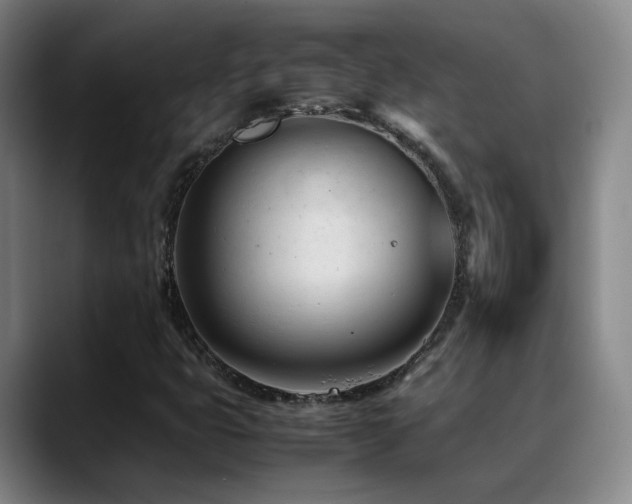 X0000089451399200706151423