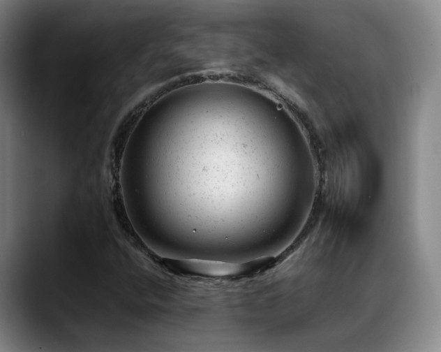 X0000089451400200706151423