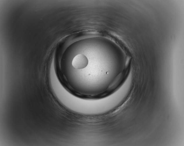 X0000089451402200706151423