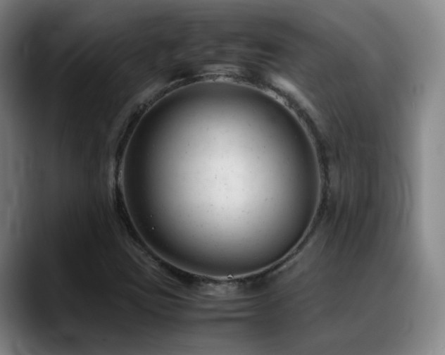 X0000089451403200706151423