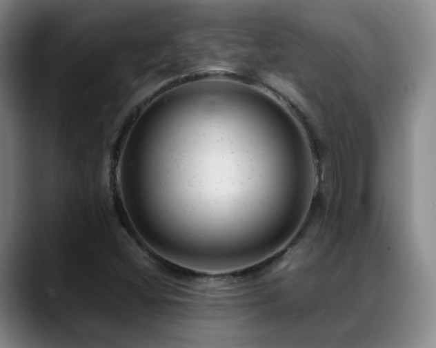 X0000089451404200706151423