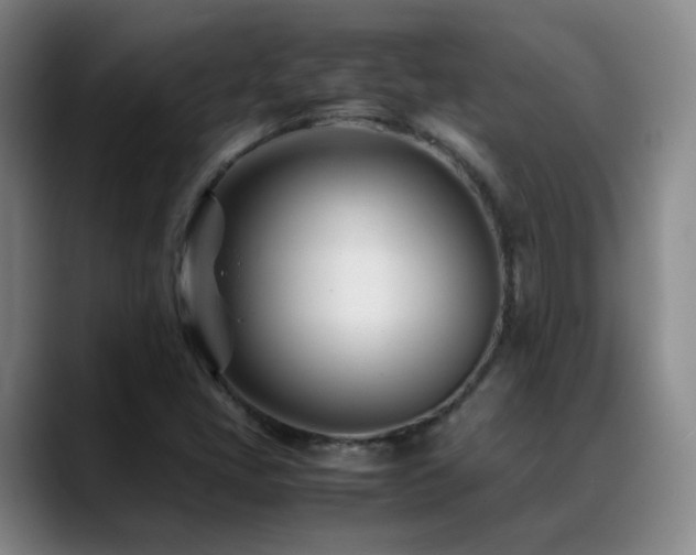 X0000089451405200706151423
