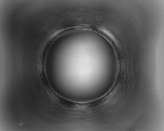 X0000089451407200706151423