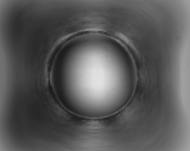 X0000089451408200706151423