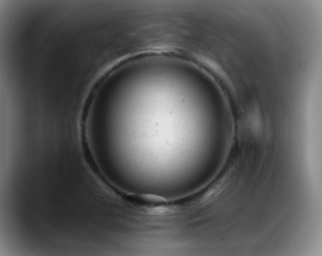 X0000089451412200706151423