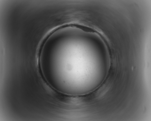 X0000089451416200706151423