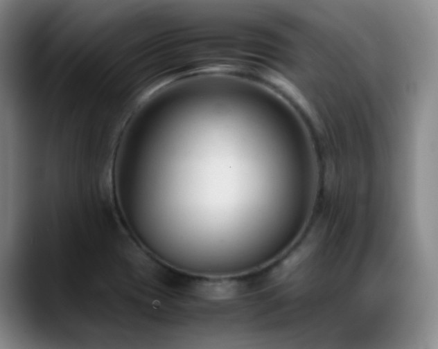 X0000089451417200706151423