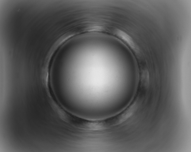 X0000089451418200706151423