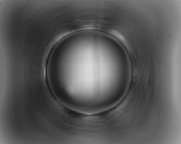 X0000089451419200706151423