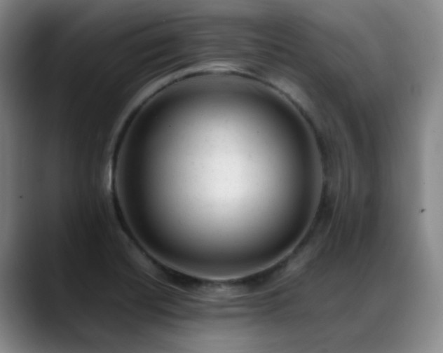 X0000089451420200706151423