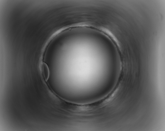 X0000089451421200706151423