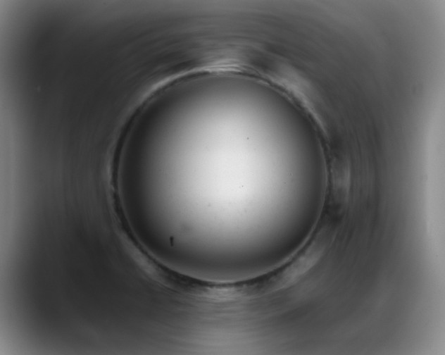 X0000089451422200706151423