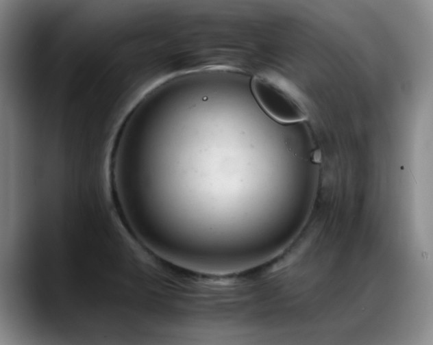 X0000089451423200706151423