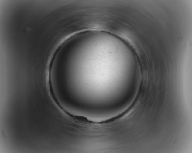 X0000089451424200706151423