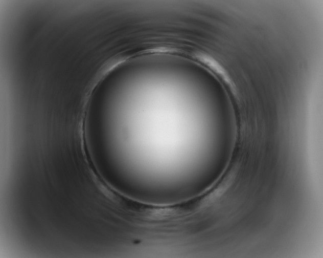 X0000089451425200706151423