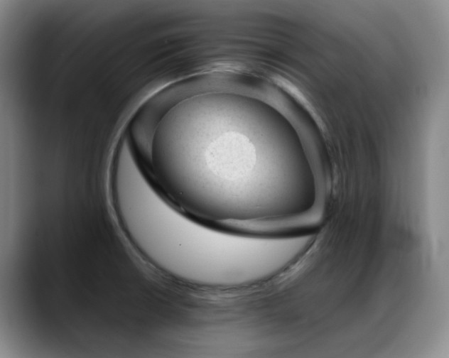X0000089451426200706151423