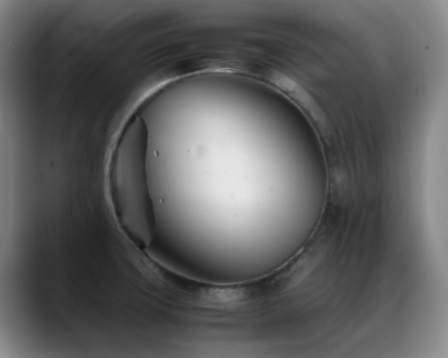 X0000089451427200706151423