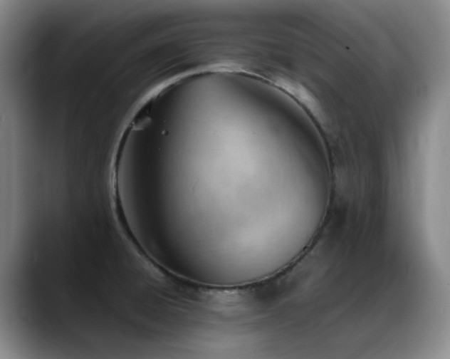 X0000089451428200706151423