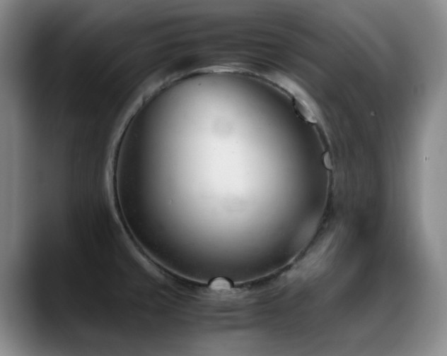 X0000089451429200706151423