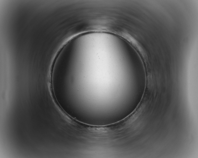 X0000089451432200706151424