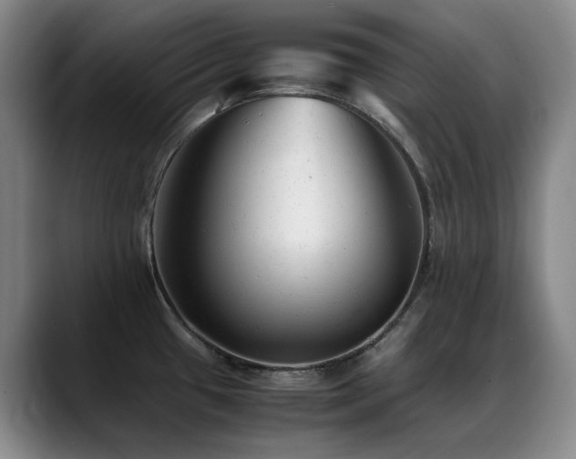 X0000089451433200706151424