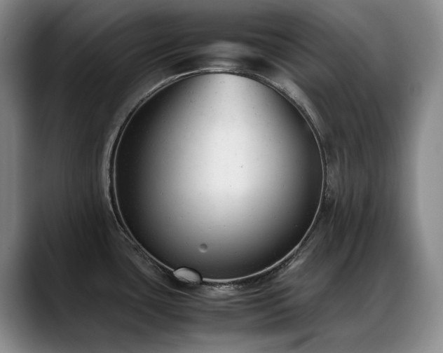 X0000089451435200706151424
